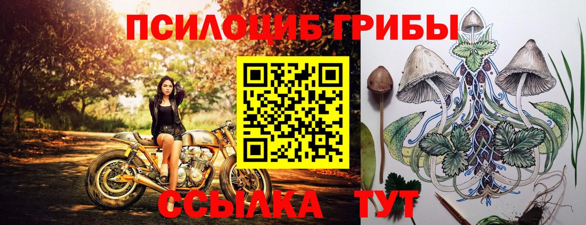 Магадан  Псилоцибиновые грибы прущие грибы  Вход с VPN 